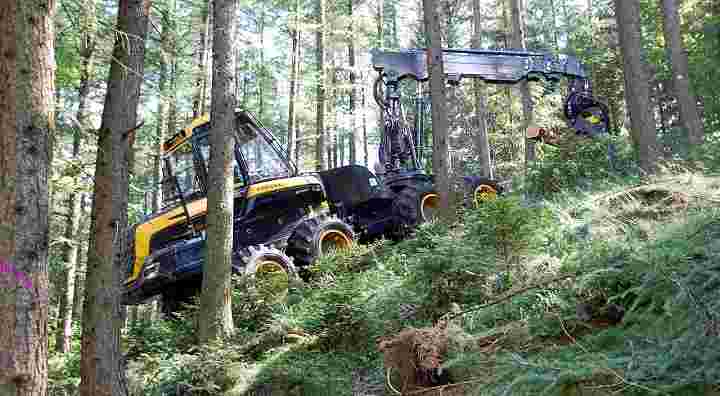 Trelleborg Forestry: serious tyres for serious foresters